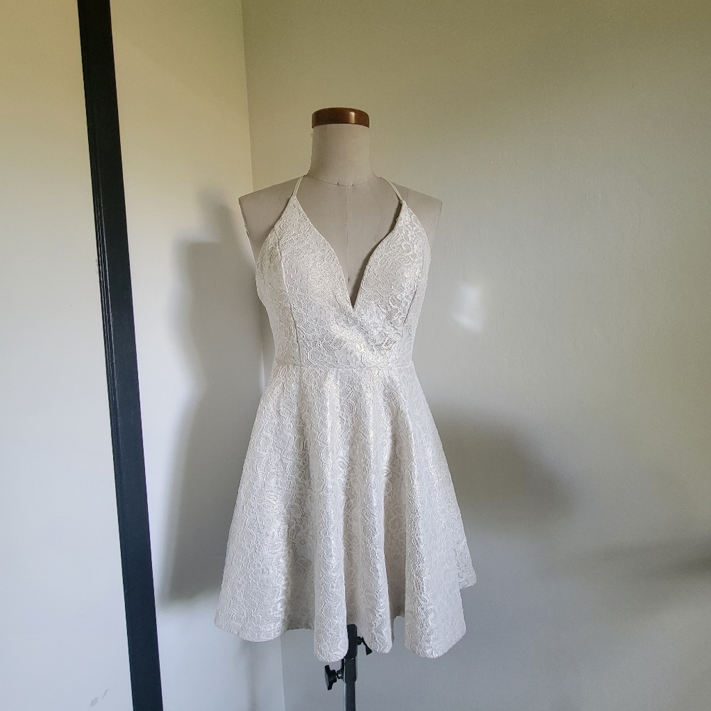 Windsor Pearl Finish Lace Skater Dress